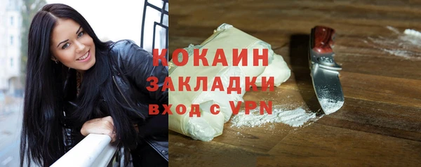 прущие грибы Переславль-Залесский