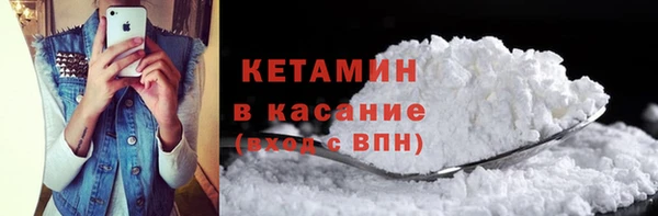 дмт Пересвет