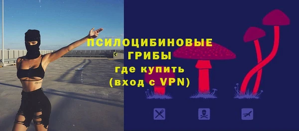 дмт Пересвет