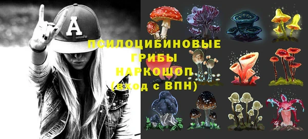 прущие грибы Переславль-Залесский