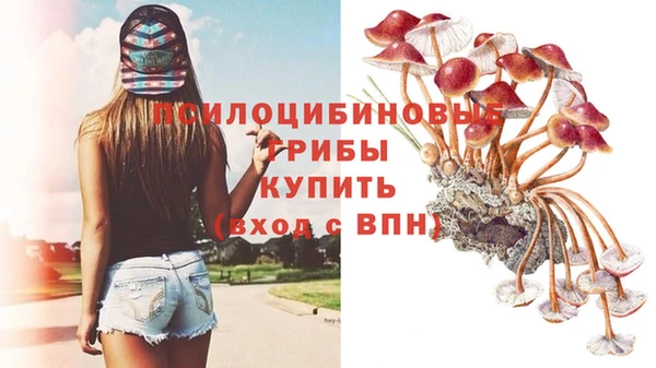 каннабис Абинск