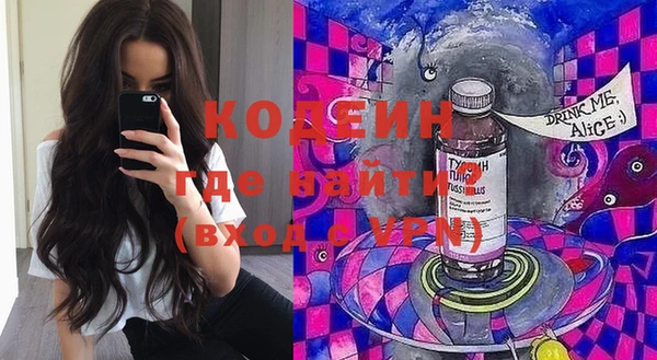 дмт Пересвет