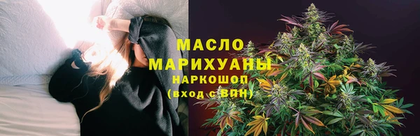 дмт Пересвет
