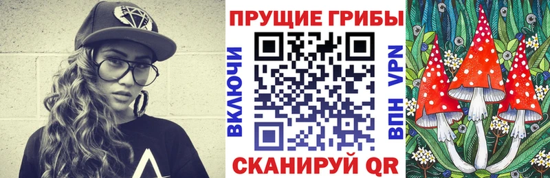 хочу наркоту  ОМГ ОМГ ссылка  Галлюциногенные грибы Magic Shrooms  Ефремов 